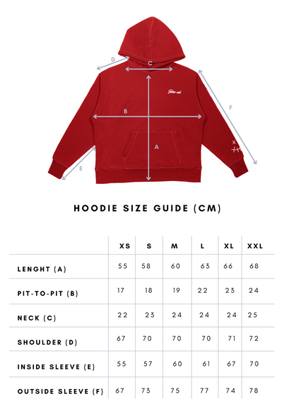 *SALE* CLASSIC TILL FOREVER HOODIE (SKY BLUE)